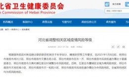 河北省最新爆料消息新闻,聚焦热点事件深度解析