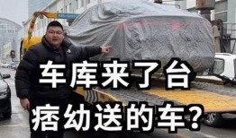 猴哥妻子爆料视频大全,揭秘娱乐圈背后的惊人真相