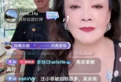 张兰直播最新爆料新闻,最新爆料事件深度解析