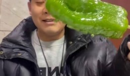 吃瓜事件网红曾宇楠是谁,吃瓜事件背后的网红风云