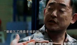 爆料中国打假拳视频,视频爆料揭露黑幕