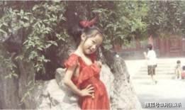 吃瓜娱乐圈长相思