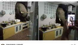 沙雕团爆料大神视频大全,大神视频大全笑料连连