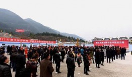 巫溪县高速路爆料事件最新,真相与争议交织的公路安全疑云