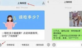 狗子今日爆料最新消息图片,今日最新爆料图片背后的惊人真相
