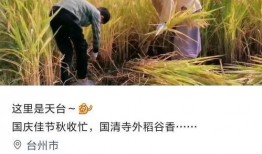 爆料黄琴打谷子视频大全,田间劳作的真实写照