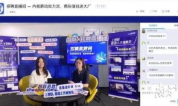 在线观看公司,引领数字娱乐新时代