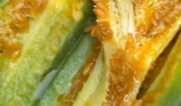 免费吃瓜黄料视频,带你领略网络娱乐新潮流