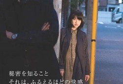 二重生活手机在线观看,手机在线观看，揭秘双重世界的奇幻旅程