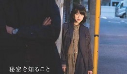 二重生活手机在线观看,手机在线观看，揭秘双重世界的奇幻旅程