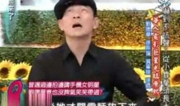 刘德华的姐姐爆料视频大全,刘德华幕后故事与家族往事