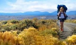 涉足荒野在线观看