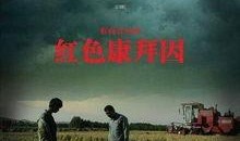 红色康拜因在线观看,在线重温革命史诗的激情岁月