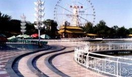 天津公园爆料视频播放,揭秘公园里的不为人知故事