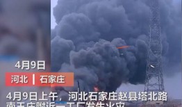 2021爆料视频,热点事件幕后真相全解析