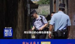 阳江今日头条最新爆料,揭秘今日头条独家热闻背后的真相