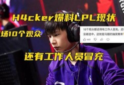 职业选手临界最新爆料,最新爆料揭示电竞界风云变幻