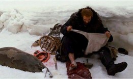 极地重生在线观看高清,冰封世界的觉醒之旅