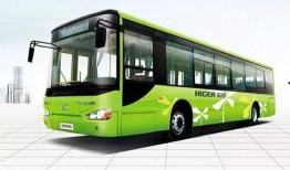 3路公交车爆料新闻视频,揭秘城市交通背后的故事