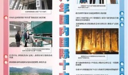 国外社会爆料新闻网站,独家新闻背后的真相与争议