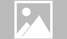 河南中学爆料新闻视频,揭秘校园内幕事件