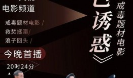 cctv6电影直播在线观看,尽享精彩瞬间，畅享在线观影盛宴