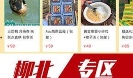 家园最新爆料视频大全下载,揭秘幕后真相，带你走进神秘世界