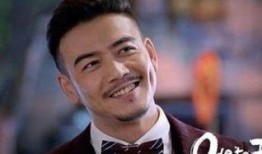 爆料娱乐圈杨烁是谁的孩子,揭秘娱乐圈新晋星二代身份之谜