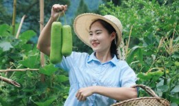 娱乐吃瓜酱老伞,揭秘老伞背后的故事与传奇