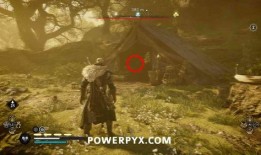 水稻之兴爆料视频大全,揭秘水稻种植奥秘的精彩视频集锦