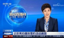 中央新闻13频道爆料,揭秘重大事件背后真相