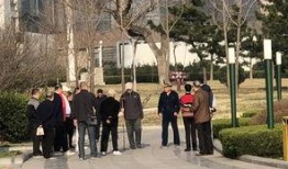 民间爆料视频临沭,真实事件引发社会关注