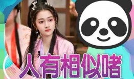 小c带你吃娱乐瓜