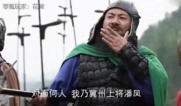 上将潘凤直播爆料视频,独家爆料背后的故事