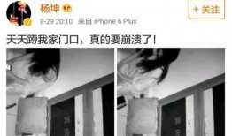 娱乐圈爆料私生饭,私生饭的疯狂追踪与明星隐私的边界