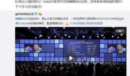 余承东开发者爆料视频,开发者爆料视频深度解析