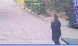 交 体液 在线观看,交体液在线观看之旅