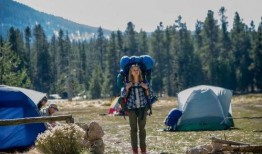 涉足荒野在线观看