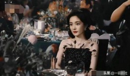 明星大爆料最新事件,最新事件揭秘，娱乐圈风云再起！