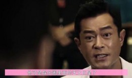 刘德华的姐姐爆料视频大全,刘德华幕后故事与家族往事