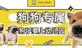 狗子今日爆料最新消息图片,今日最新爆料图片背后的惊人真相