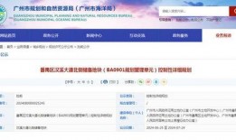 广州大爆料最新消息