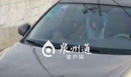 韩国车震视频在线观看,揭秘私密瞬间