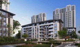 永威城最新爆料,揭秘神秘项目，未来城市新地标即将崛起