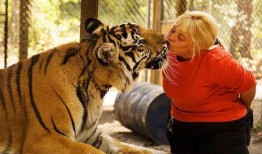 猛兽家新品爆料最新消息,揭秘全新科技与设计突破