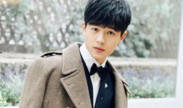 天涯真实爆料刘昊然视频,揭秘娱乐圈背后的故事