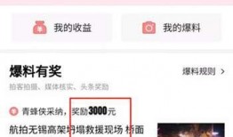 视频爆料怎么爆料的,幕后真相如何被揭露