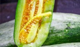 吃大瓜的网红,揭秘娱乐圈幕后真相