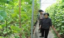 吃瓜事件网红曾宇楠是谁,吃瓜事件背后的网红风云