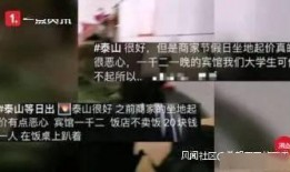 泰山酒店爆料视频大全下载,揭秘酒店幕后真相